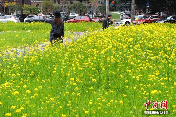 蜀山侠侣手游下载